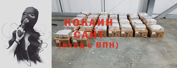 прущие грибы Бронницы