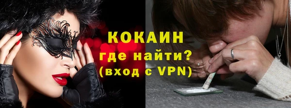 прущие грибы Бронницы