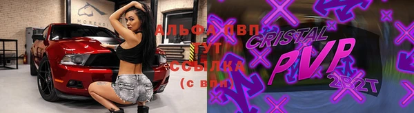 прущие грибы Бронницы