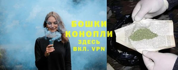 прущие грибы Бронницы