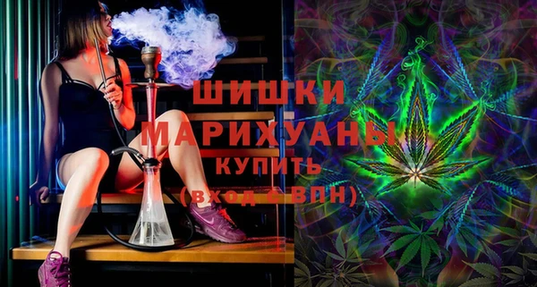 мет Бородино