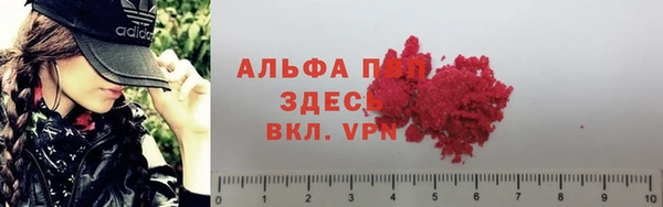 мет Бородино
