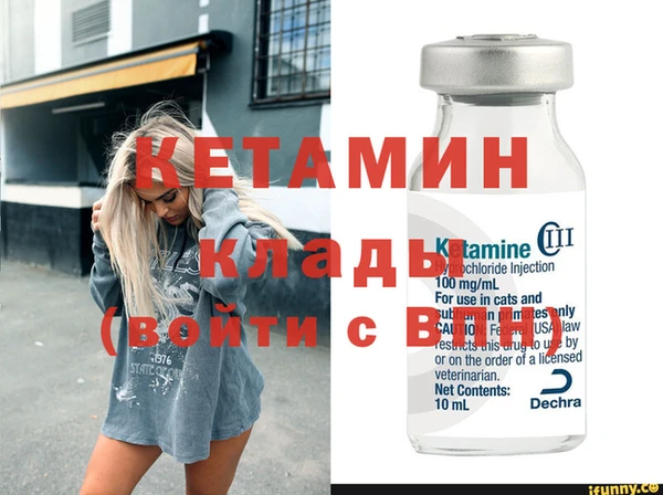 прущие грибы Бронницы