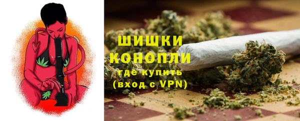прущие грибы Бронницы