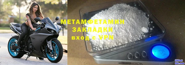 прущие грибы Бронницы