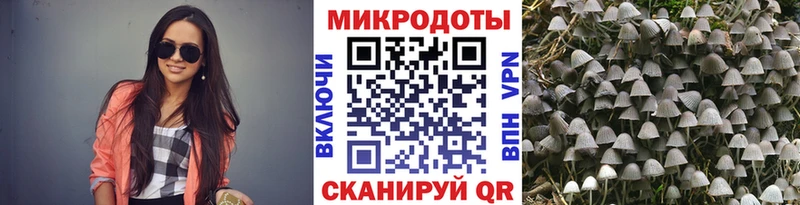 Псилоцибиновые грибы MAGIC MUSHROOMS  Купить закладки  Десногорск 